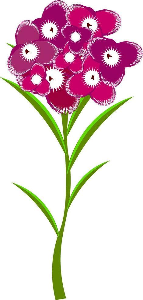 Romdoul Flower Vector Art Icons And Graphics For Free Download