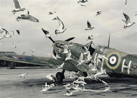 Supermarine Spitfire Fighter Plane Color Photograph by Hinco Art | Pixels