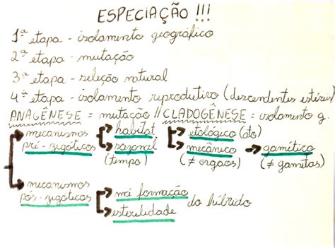 MAPA MENTAL SOBRE ESPECIAÇÃO STUDY MAPS