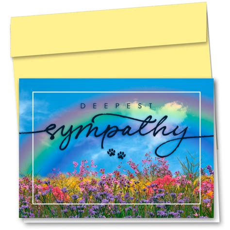 Pet Sympathy Cards Rainbow Wildflowers Sympathy Cards Sole Source