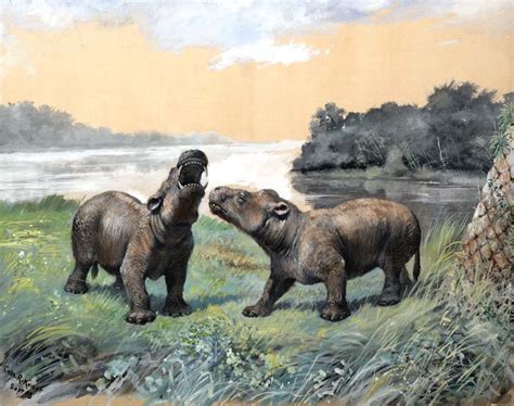 Coryphodon Dinopedia Fandom Powered By Wikia