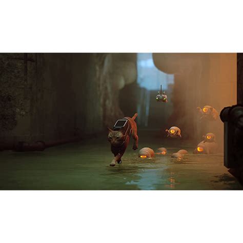 Stray Game for PS5 - - დაბალი ფასები, განვადებით და მიტანით • Zoommer