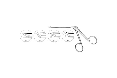 Bellucci Alligator Scissor