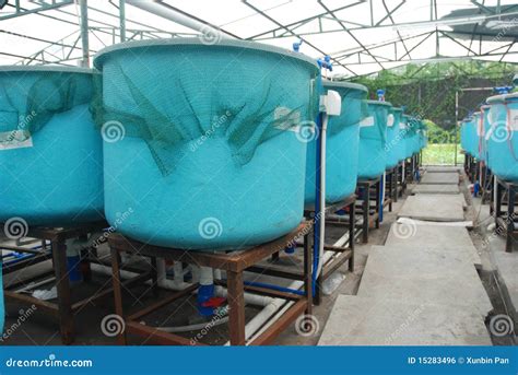 Agriculture Aquaculture Farm Stock Photo Image Of Cultivate Modern