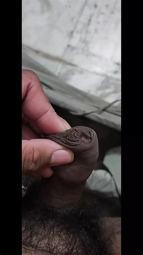 Desi Big Dick Jerking Off Indian Gay Asian Asian Porn XHamster