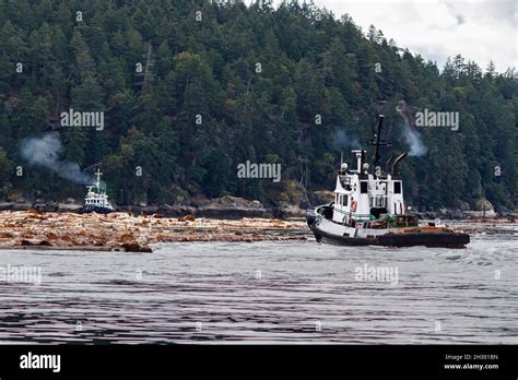 Two Tugboats Ct Titan And Hustler Ii Work Together Pushing A Log