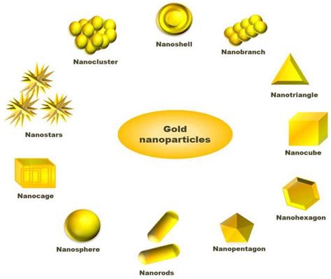 green synthesis  gold nanoparticles aunps  plants