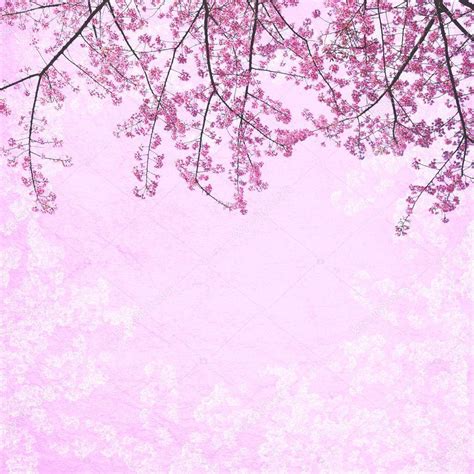 Pink Sakura Wallpapers Top Free Pink Sakura Backgrounds Wallpaperaccess