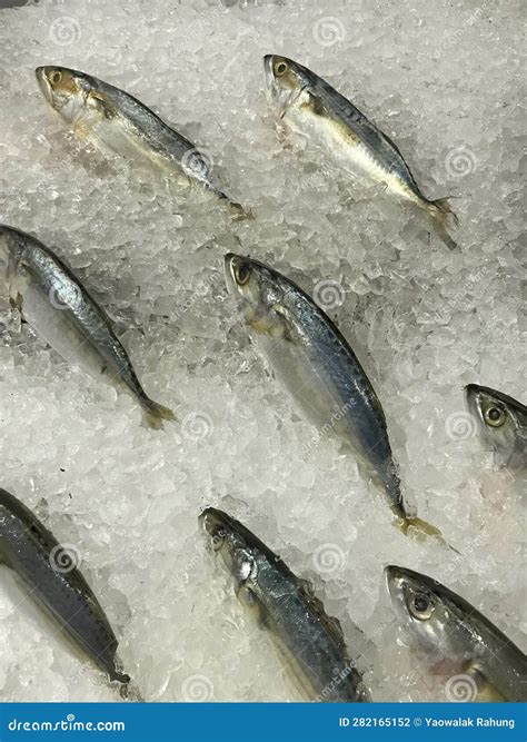 Pescado Fresco En Hielo A La Venta En El Supermercado Foto De Archivo