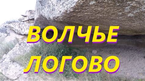 Волчье логово (Волки) - YouTube