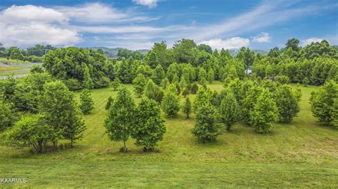 604 W Shore Drive, Rockwood, TN - lhrmls-01684393 - LakeHomes.com