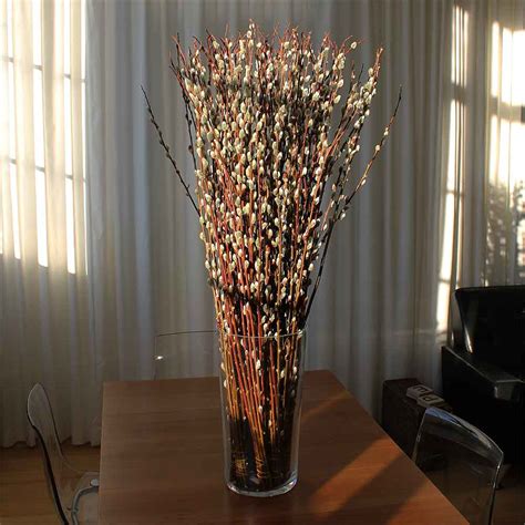 Giant Pussy Willow Branches Bulk