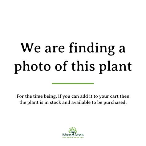 Future Forests - The Irish mail order plant people