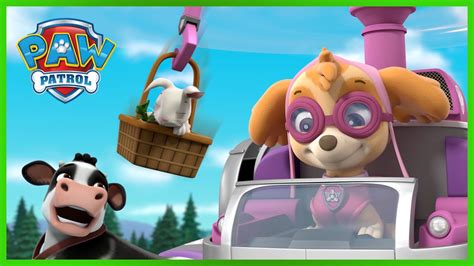The Pups Save Farm Animals And More Paw Patrol Cartoons For Kids