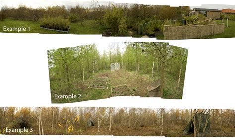 examples  appropriation  scientific diagram