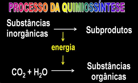 O Que É Quimiossintese - Quimiossíntese, o que é e como acontece a fotossíntese das bactérias