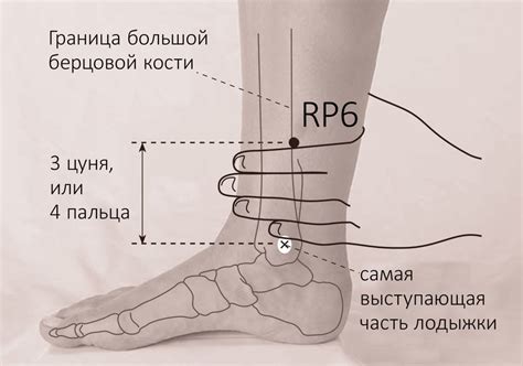 Блог натуропата | Натали о красоте и здоровье, [26 янв. 2022 в 12:53 ...