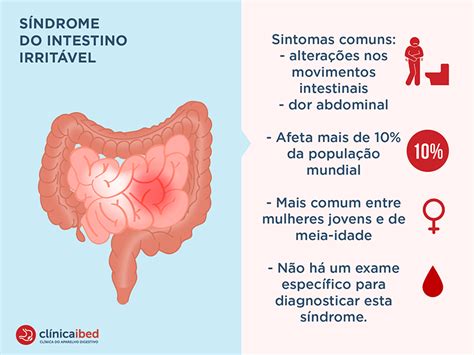 S Ndrome Do Intestino Irrit Vel Causas Sintomas E Tratamento