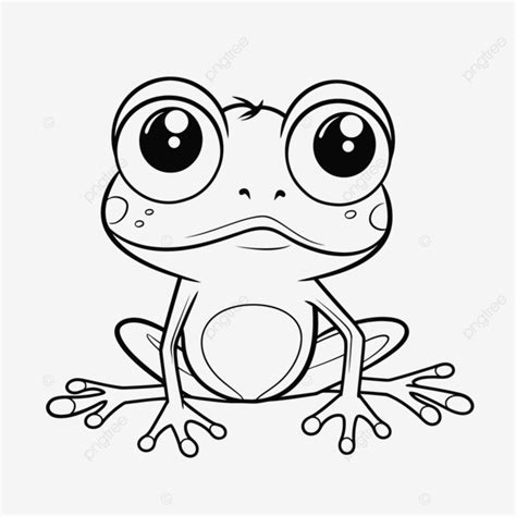 Frog Coloring Page Drawing Cartoon Frog Outline Sketch Vector Frog