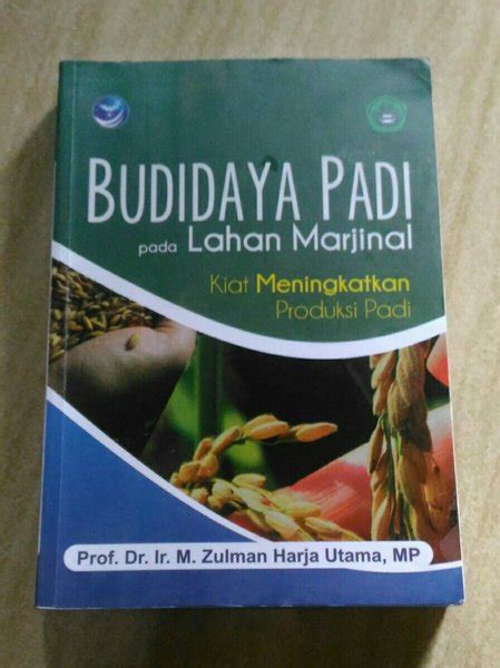 Jual Budidaya Padi Pada Lahan Marginal Kiat Meningkatkan Produksi Padi