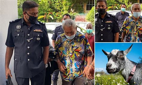 Malaysian Man Who Had Sex With Goat Could Face Years In Jail Or Whipping If Found Guilty