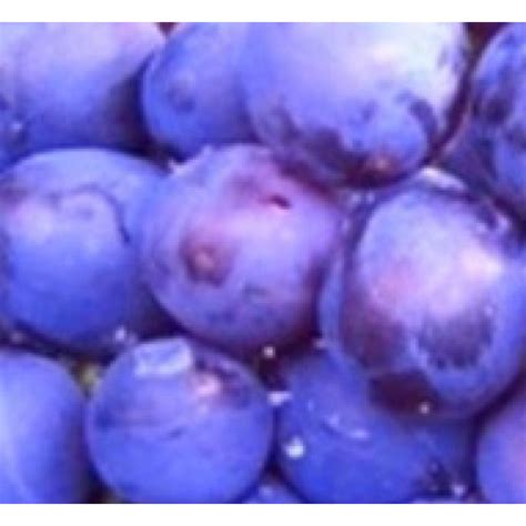 Виноград Муромец