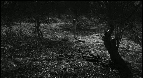 Naked Rea Lest In November