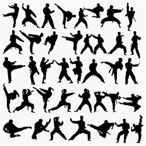 Premium Vector | Martial arts silhouette