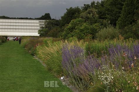 Цветочные бордюры в Wisley RHS Garden - Пит Удольф (Piet Oudolf ...