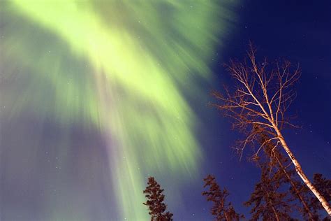 Northern Light Fall Photograph By Alanna Dphoto Fine Art America