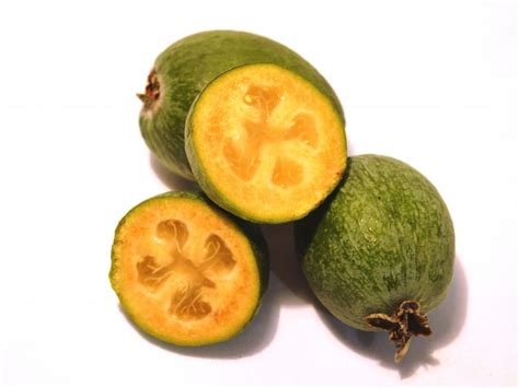 Фейхоа: посадка и уход в открытом грунте, в домашних условиях ...