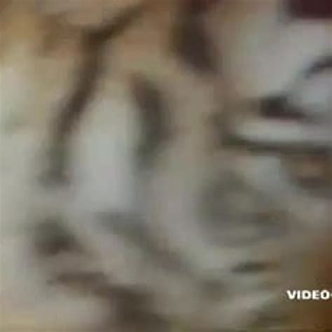 Hot Stuff 1984 Free Vintage Porn Video 73 XHamster XHamster