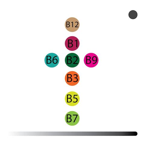 Premium Vector B Complex