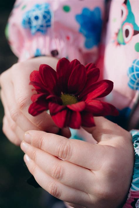 Minecraft Flower Photos Download The Best Free Minecraft Flower Stock