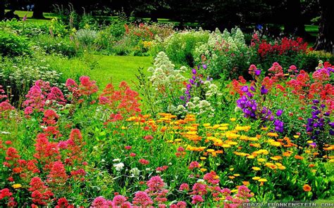 The Wonderful World Of Flower Gardens The Lone Girl In A Crowd