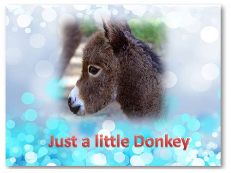 Little Donkey • Teacha!