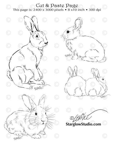 simple drawings of bunny rabbits 3