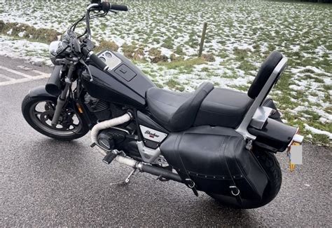 New member introduction and question | Honda Shadow Forums