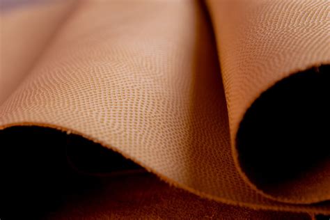 Liz Nude Bosio Cueros