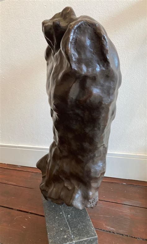 Joris Verdonkschot Body And Soul Bronze Sculpture Torso Torse Male Nude In Stock For Sale At