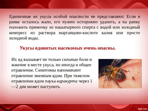 Что помогает от укуса пчелы: Что делать если укусила оса или пчела ...