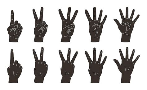 black hand count vectors illustrations