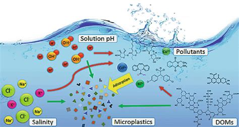 Factors Influencing Adsorption The Solution Ph Salinity And