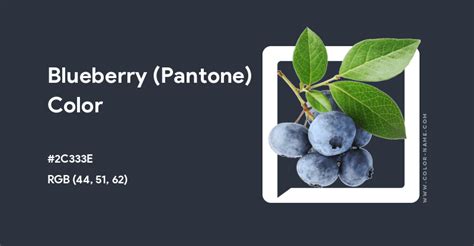 Blueberry Pantone Color Hex Code Is 2c333e In 2024 Pantone Color