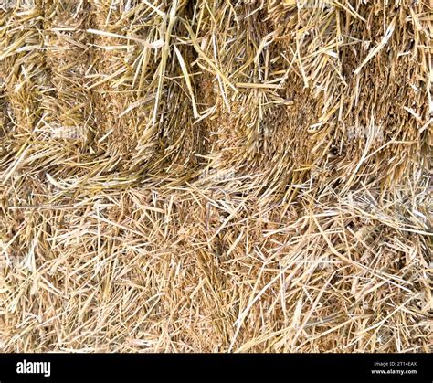 Hay Texture Hay Bales Stacked In Large Stacks Harvesting In