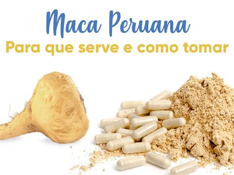 Homem Pode Tomar Maca Peruana - Maca Peruana: para que serve e como tomar