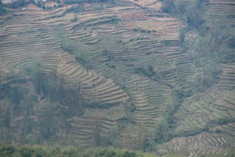 Sapa Vietnam Fansipan Peak In Morning Fogthe Highest Mountain In The