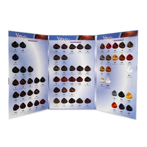 Tabela De Cores De Cabelo Natural - Niveis De Tabela De Cores De Cabelo Natural 4b Natural Hair Curl