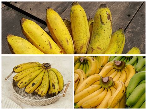 manfaat pisang ambon  tubuh  sehat  energi alami hingga