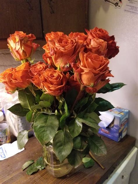 Pretty Burnt Orange Roses Orange Roses Orange Aesthetic Burnt Orange